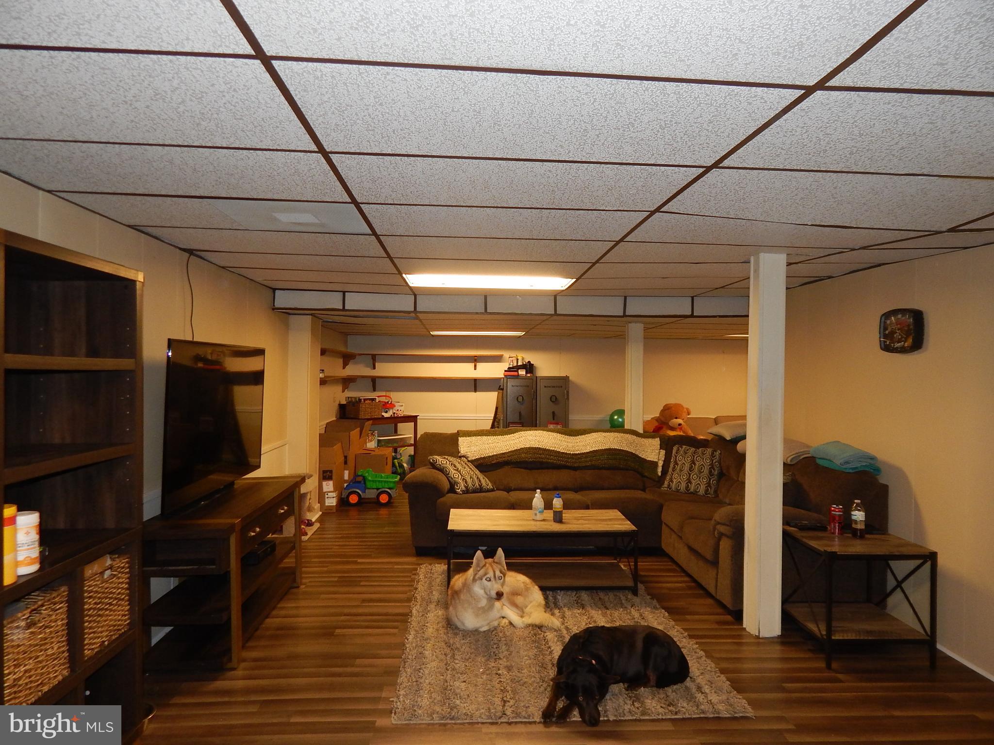 6285 Valley Road Berkeley Springs, WV 25411 - Photo 22 of 30 Basement