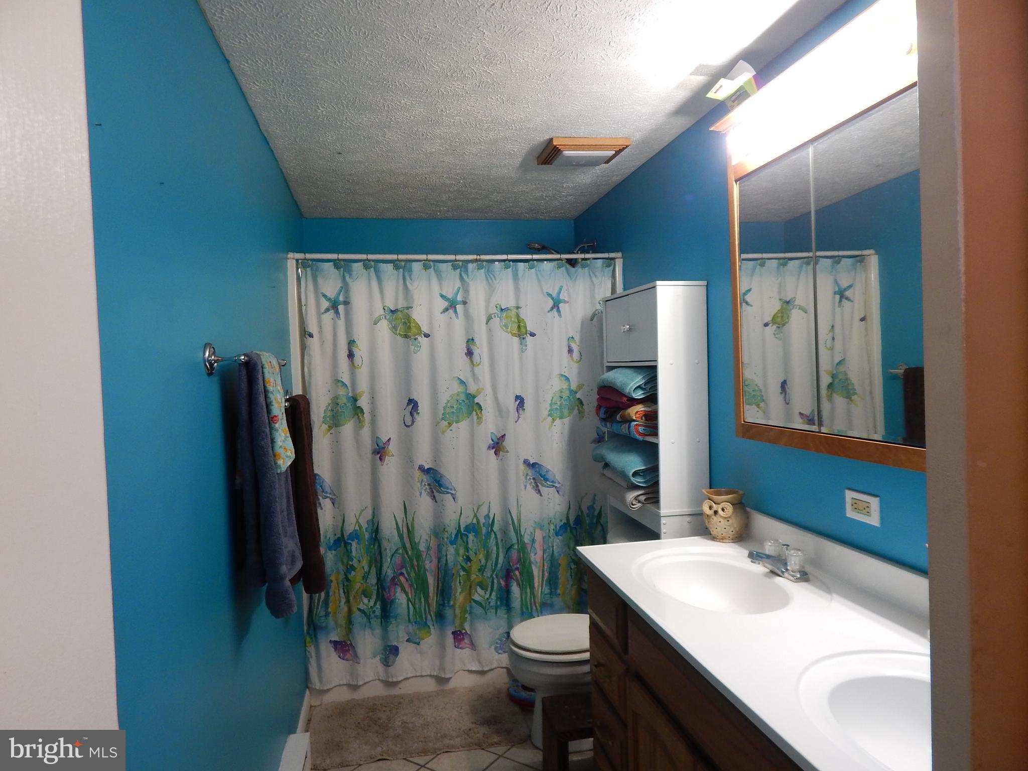 6285 Valley Road Berkeley Springs, WV 25411 - Photo 10 of 30 BATHROOM