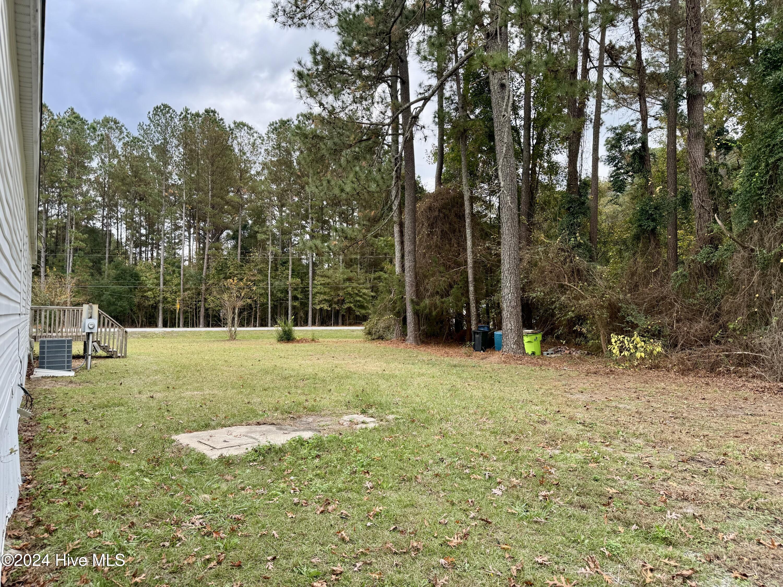 930 Willis Neck Road Vanceboro, NC 28586 - Photo 6 of 28 Backyard