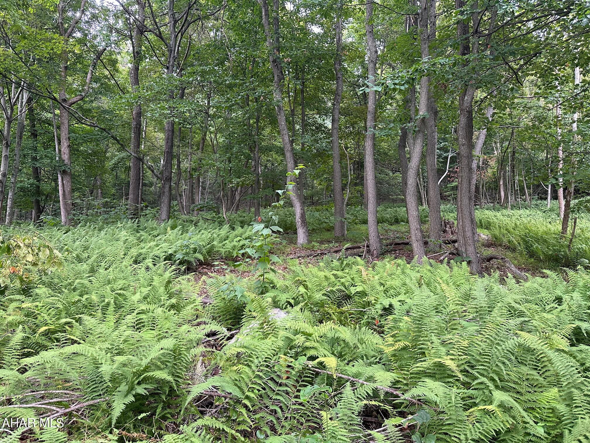 Lot #1 Louks Road Bedford, PA 15522 - Photo 1 of 11