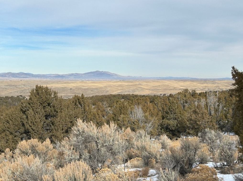 Lee Road Rd Spring Creek Spring Creek, NV 89815 - Photo 7 of 9