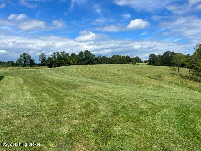 3541 Hardesty Ridge Road Taylorsville, KY 40071 - Photo 2 of 28 Land