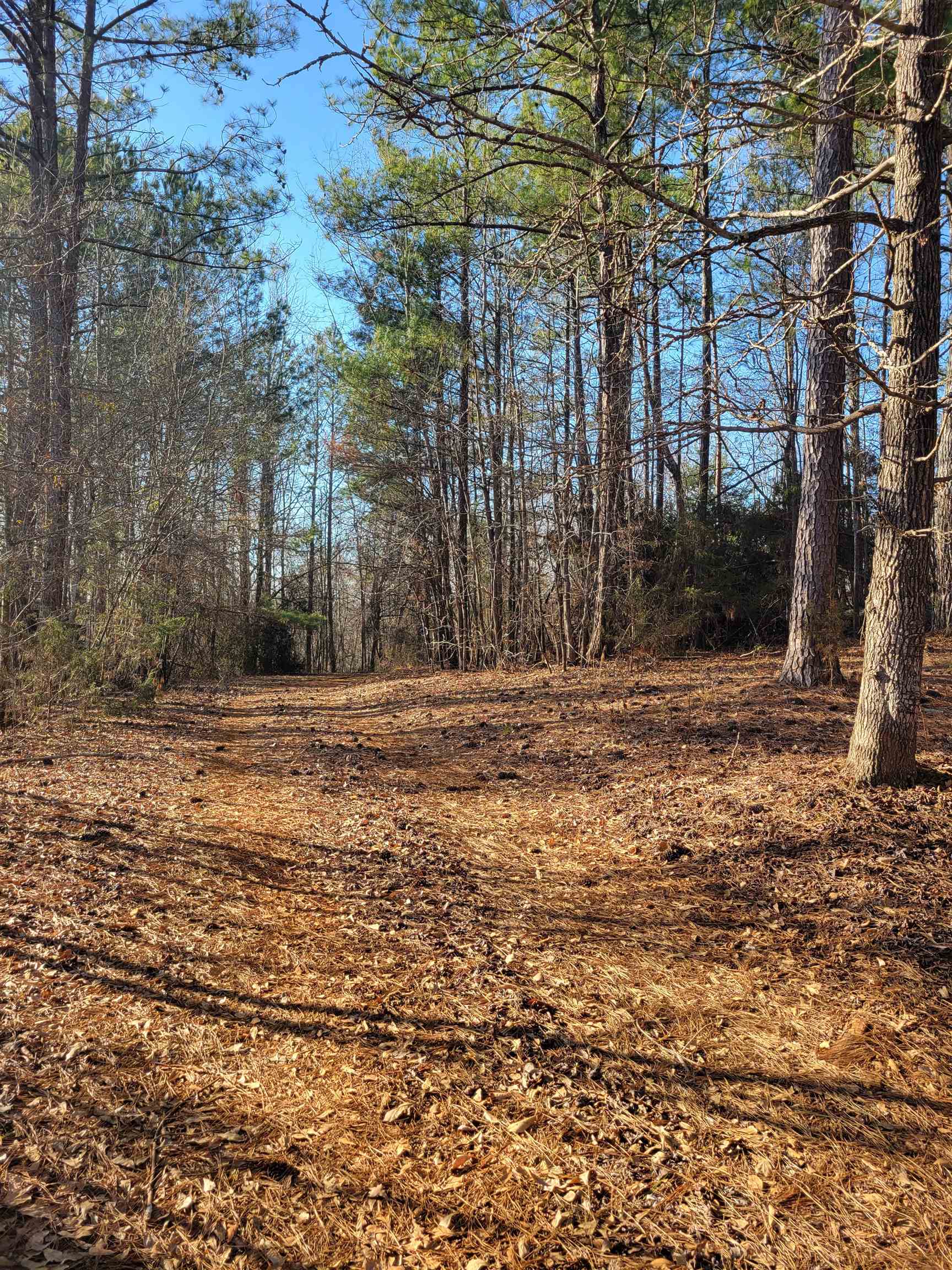 4 State Rd S-42-51 Woodruff, SC 29388 - Photo 1 of 6 Gallery Image 1