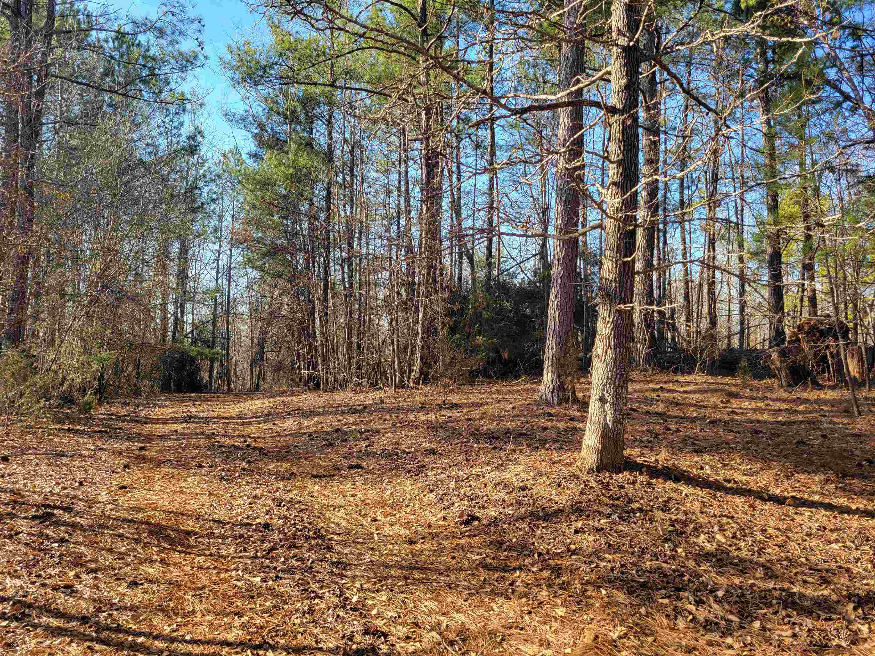 4 State Rd S-42-51 Woodruff, SC 29388 - Photo 2 of 6 Gallery Image 2