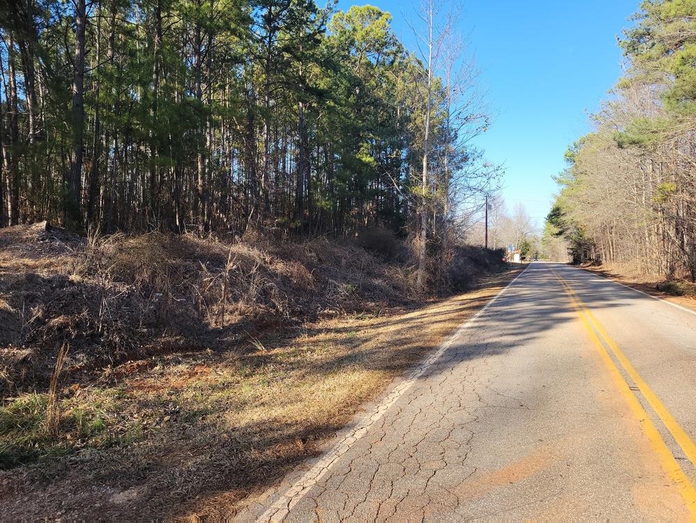 4 State Rd S-42-51 Woodruff, SC 29388 - Photo 3 of 6 Gallery Image 3