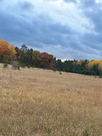 $75,000 | Tbd Lot C Gunpowder Road, Merrifield, MN 56465