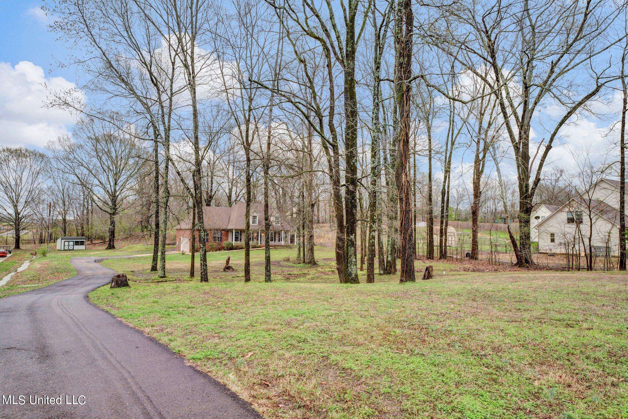 4770 Alexander Road Olive Branch, MS 38654 - Photo 50 of 61 45-web-or-mls-EC205519