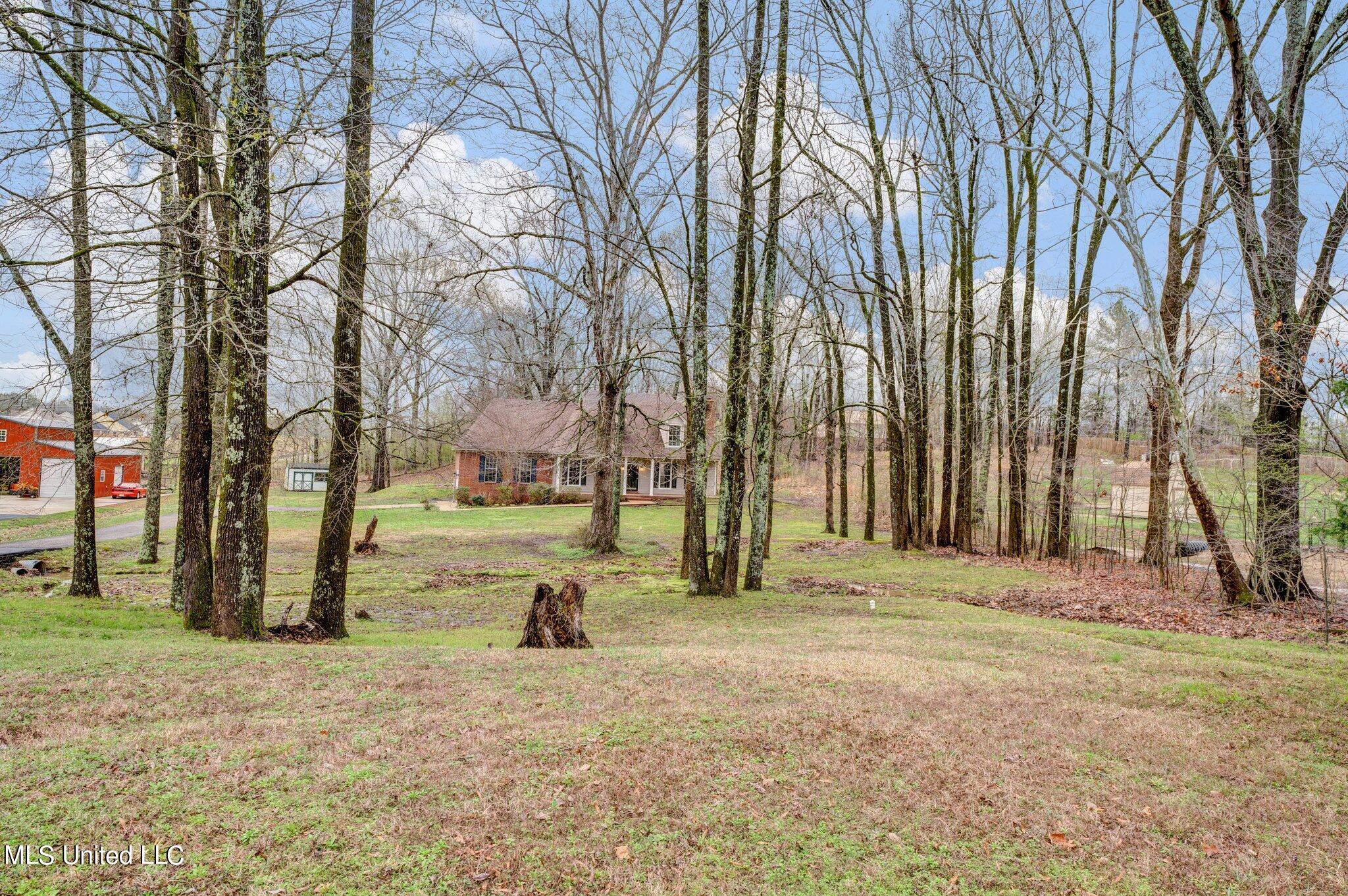 4770 Alexander Road Olive Branch, MS 38654 - Photo 51 of 61 46-web-or-mls-EC205524