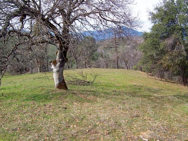 61-acres 61-acres Backbone Ridge Road Bella Vista, CA 96008 - Photo 1 of 9 knoll homesite