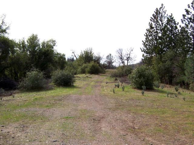 61-acres 61-acres Backbone Ridge Road Bella Vista, CA 96008 - Photo 2 of 9 near homesite