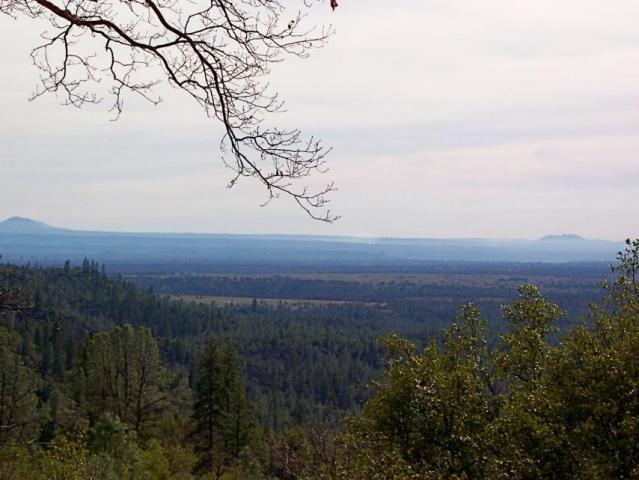 61-acres 61-acres Backbone Ridge Road Bella Vista, CA 96008 - Photo 3 of 9 views to the south