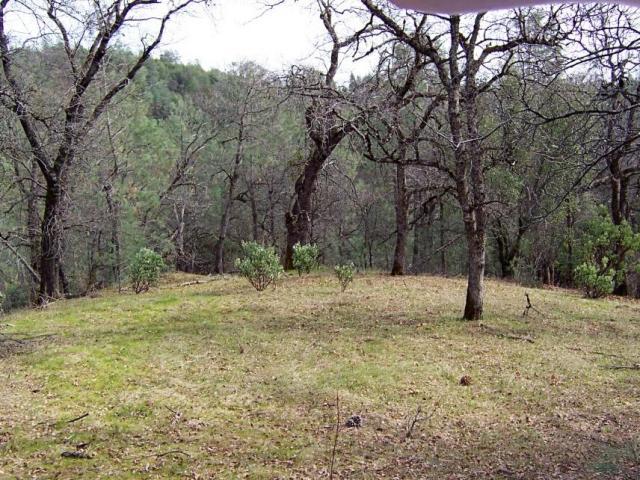 61-acres 61-acres Backbone Ridge Road Bella Vista, CA 96008 - Photo 4 of 9 property