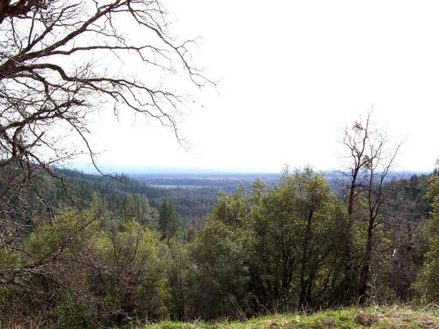 61-acres 61-acres Backbone Ridge Road Bella Vista, CA 96008 - Photo 6 of 9 more views from property