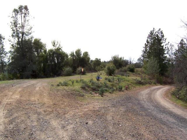 61-acres 61-acres Backbone Ridge Road Bella Vista, CA 96008 - Photo 8 of 9 driveway off Backbone