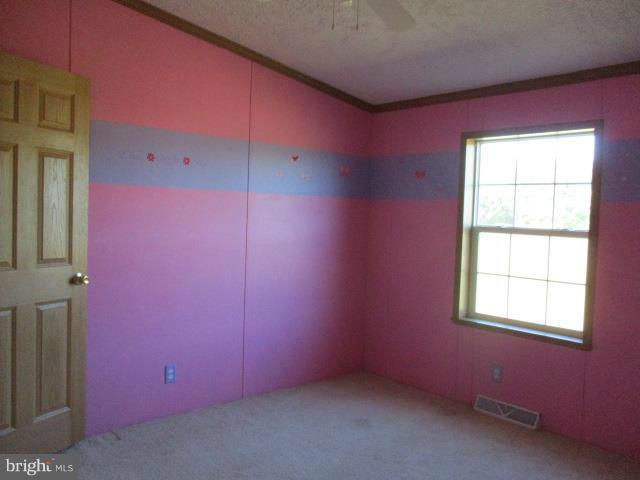 6555 Cabin Ridge Road Hurlock, MD 21643 - Photo 17 of 20 Bedroom