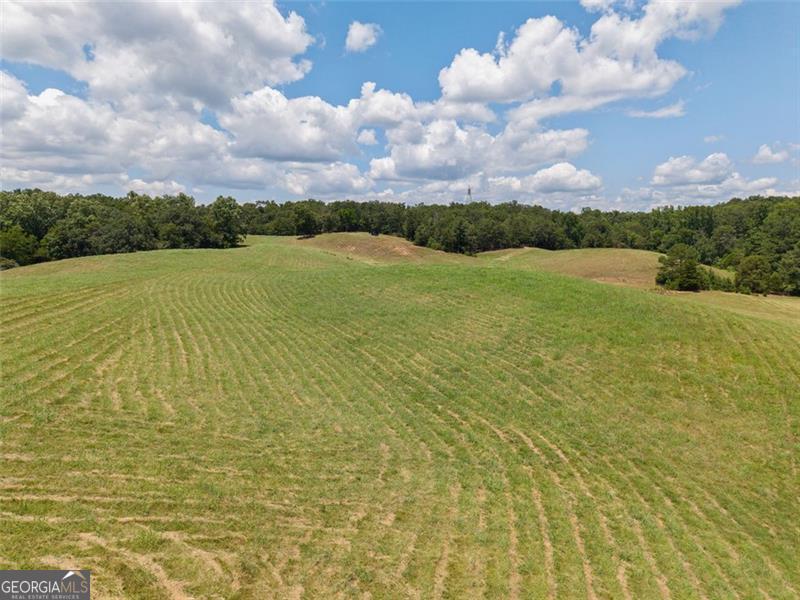 0 Mount Pleasant Fairmount, GA 30139 - Photo 11 of 59