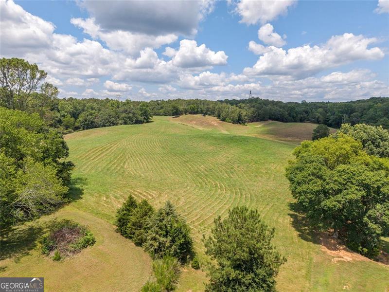 0 Mount Pleasant Fairmount, GA 30139 - Photo 12 of 59