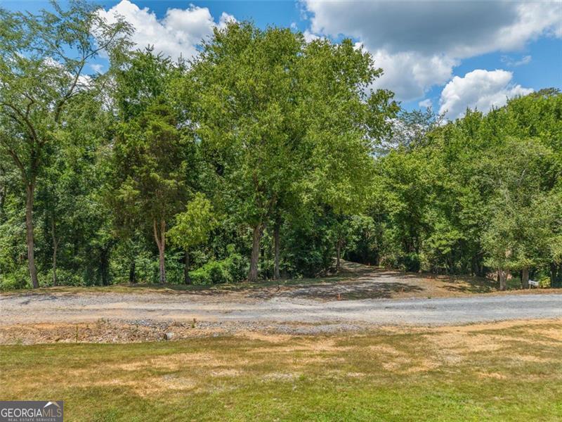 0 Mount Pleasant Fairmount, GA 30139 - Photo 16 of 59