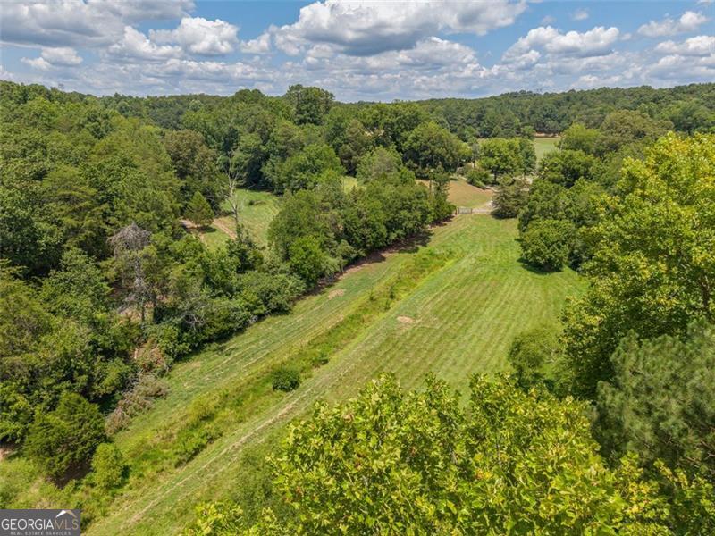 0 Mount Pleasant Fairmount, GA 30139 - Photo 17 of 59