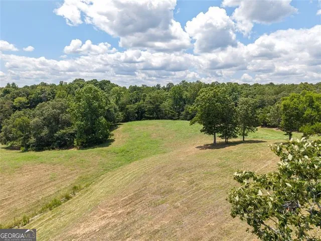 $1,285,000 | 0 Mount Pleasant, Fairmount, GA 30139