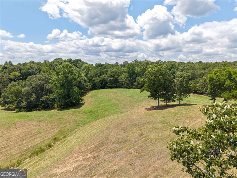0 Mount Pleasant Fairmount, GA 30139 - Photo 21 of 59