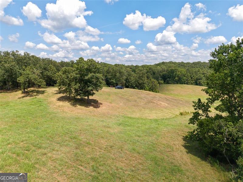 0 Mount Pleasant Fairmount, GA 30139 - Photo 22 of 59