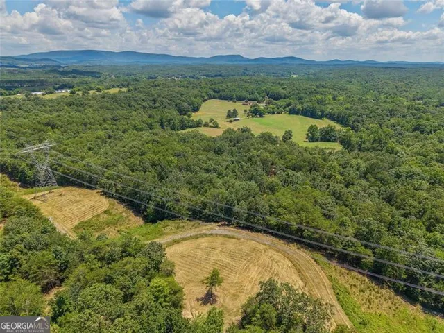 $1,285,000 | 0 Mount Pleasant, Fairmount, GA 30139