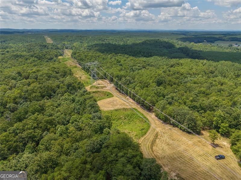 0 Mount Pleasant Fairmount, GA 30139 - Photo 31 of 59