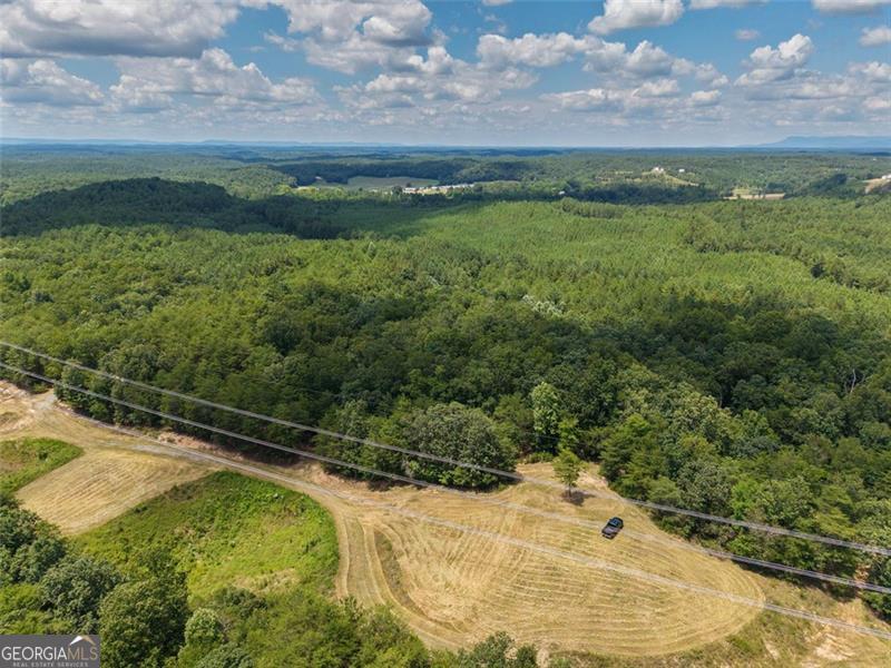 0 Mount Pleasant Fairmount, GA 30139 - Photo 32 of 59