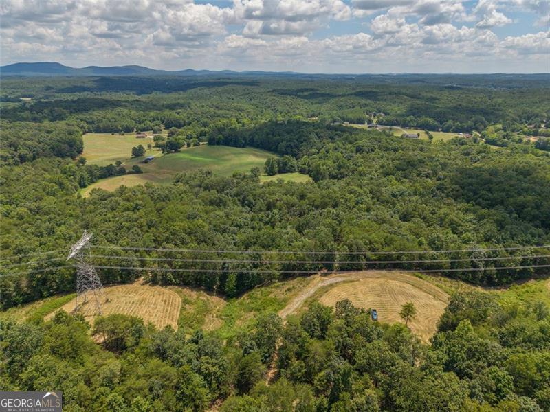 0 Mount Pleasant Fairmount, GA 30139 - Photo 33 of 59