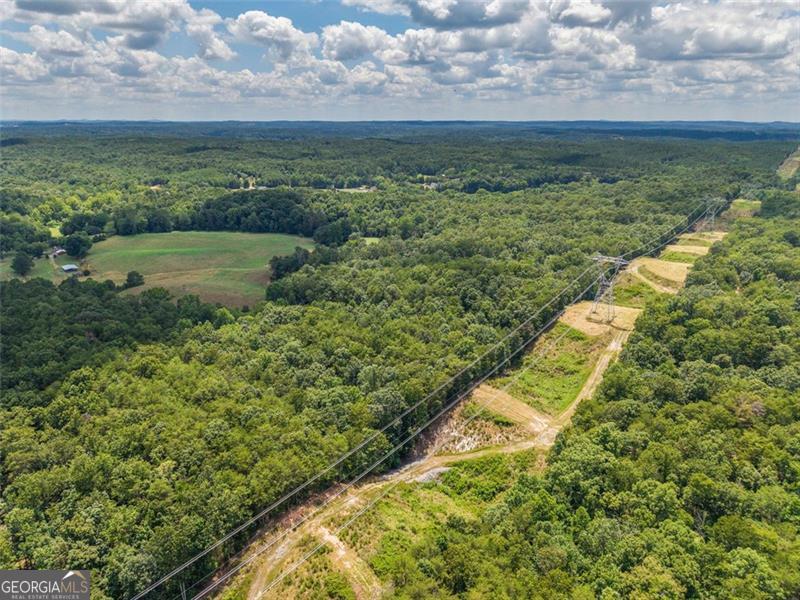 0 Mount Pleasant Fairmount, GA 30139 - Photo 34 of 59