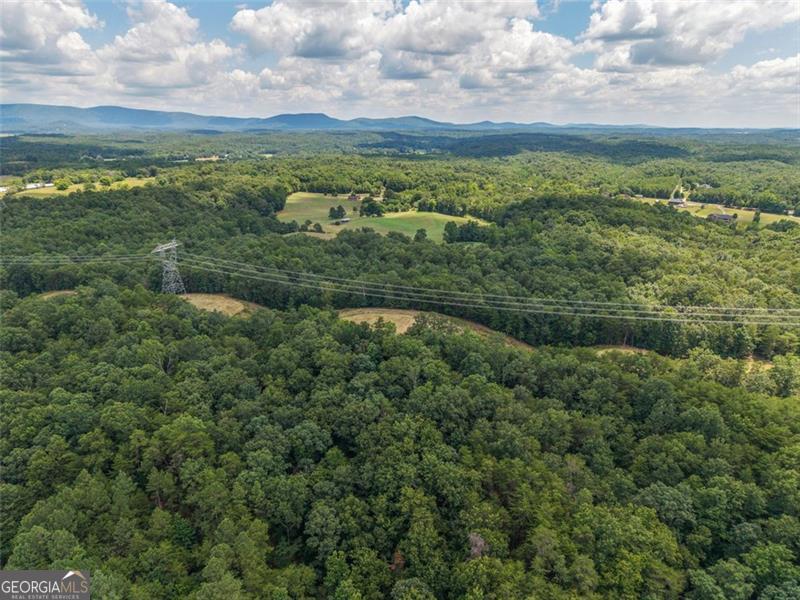 0 Mount Pleasant Fairmount, GA 30139 - Photo 35 of 59