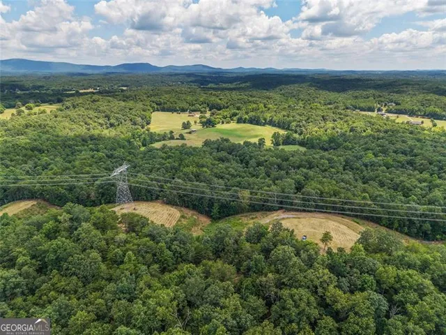 $1,285,000 | 0 Mount Pleasant, Fairmount, GA 30139