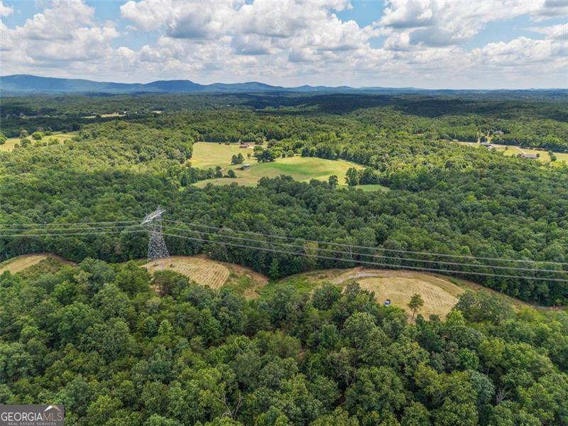 0 Mount Pleasant Fairmount, GA 30139 - Photo 36 of 59