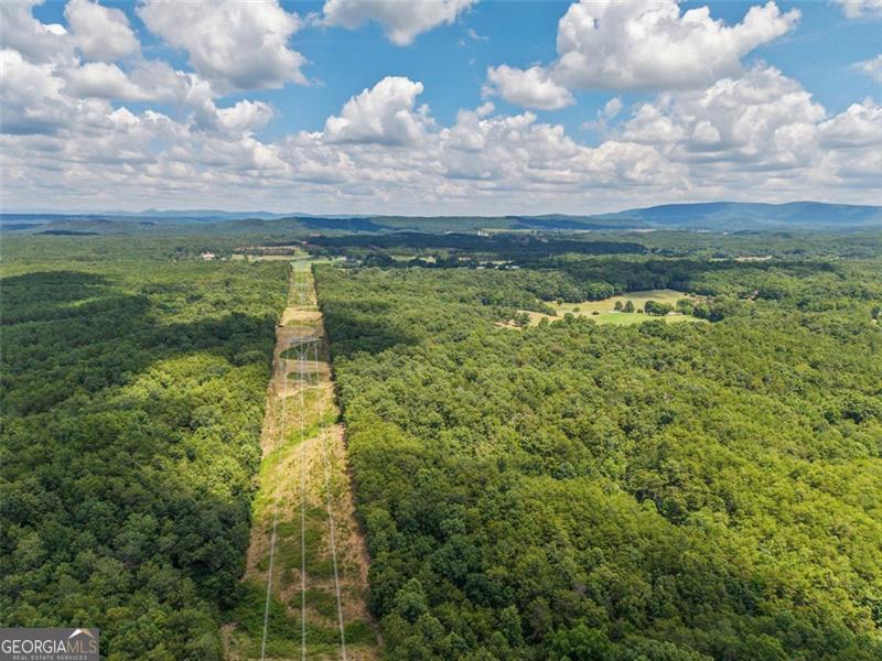 0 Mount Pleasant Fairmount, GA 30139 - Photo 38 of 59