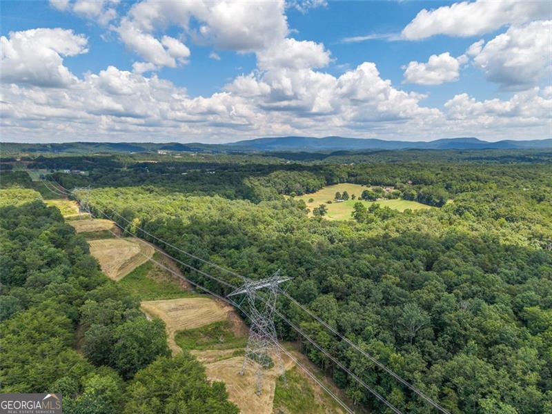 0 Mount Pleasant Fairmount, GA 30139 - Photo 41 of 59