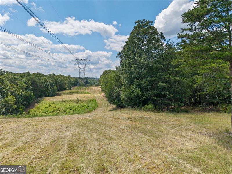 0 Mount Pleasant Fairmount, GA 30139 - Photo 42 of 59