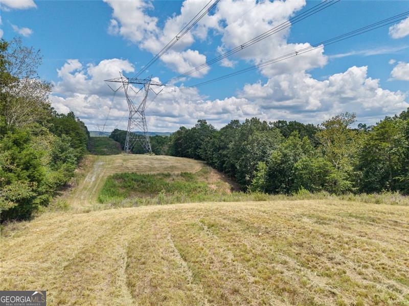 0 Mount Pleasant Fairmount, GA 30139 - Photo 43 of 59