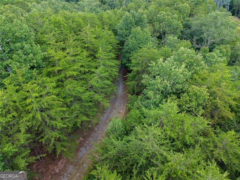 0 Mount Pleasant Fairmount, GA 30139 - Photo 44 of 59