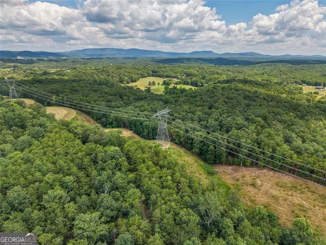 $1,285,000 | 0 Mount Pleasant, Fairmount, GA 30139