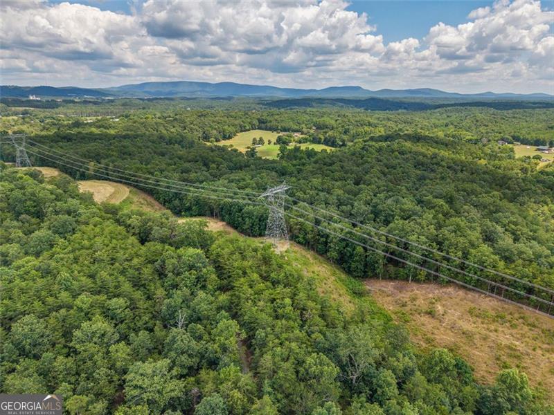 0 Mount Pleasant Fairmount, GA 30139 - Photo 45 of 59