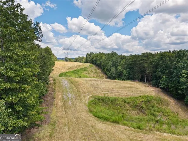 $1,285,000 | 0 Mount Pleasant, Fairmount, GA 30139