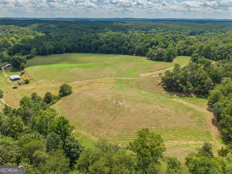 0 Mount Pleasant Fairmount, GA 30139 - Photo 52 of 59