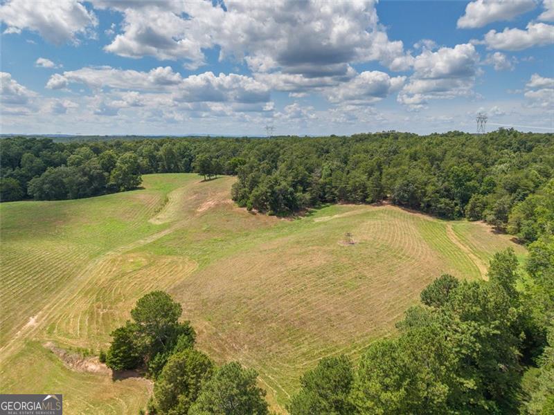 0 Mount Pleasant Fairmount, GA 30139 - Photo 53 of 59