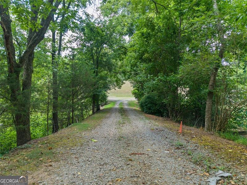 0 Mount Pleasant Fairmount, GA 30139 - Photo 56 of 59