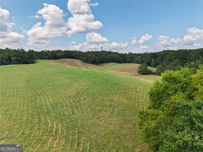 0 Mount Pleasant Fairmount, GA 30139 - Photo 58 of 59