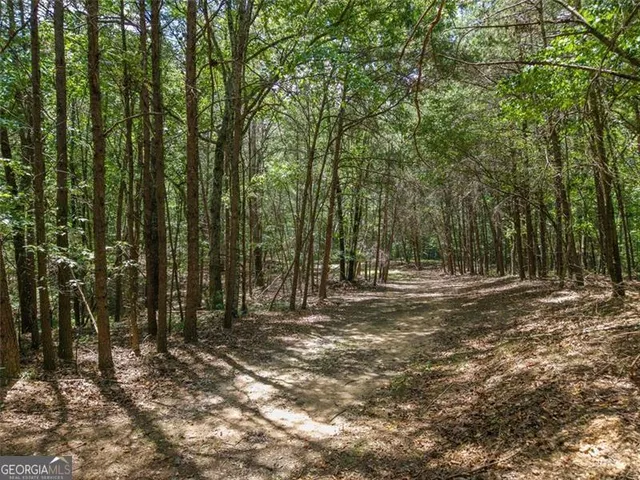 $1,285,000 | 0 Mount Pleasant, Fairmount, GA 30139