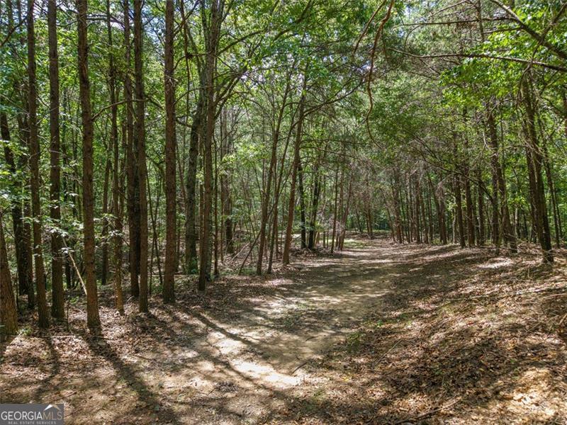 0 Mount Pleasant Fairmount, GA 30139 - Photo 8 of 59