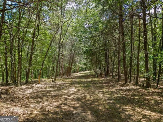 $1,285,000 | 0 Mount Pleasant, Fairmount, GA 30139