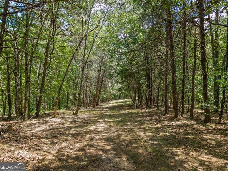 0 Mount Pleasant Fairmount, GA 30139 - Photo 9 of 59